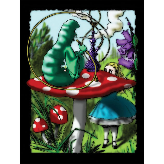 Alice Medium Weight Fleece Blanket - Glasss Station