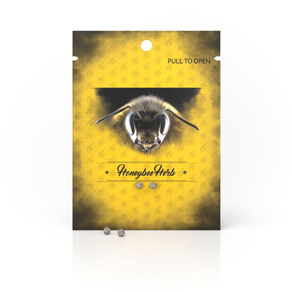 Honeybee Herb Opal Terp Pearls - Glasss Station