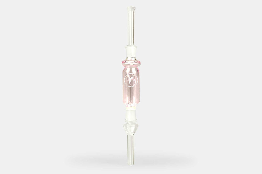 Nectar Collector Wildbird Kit - Glasss Station