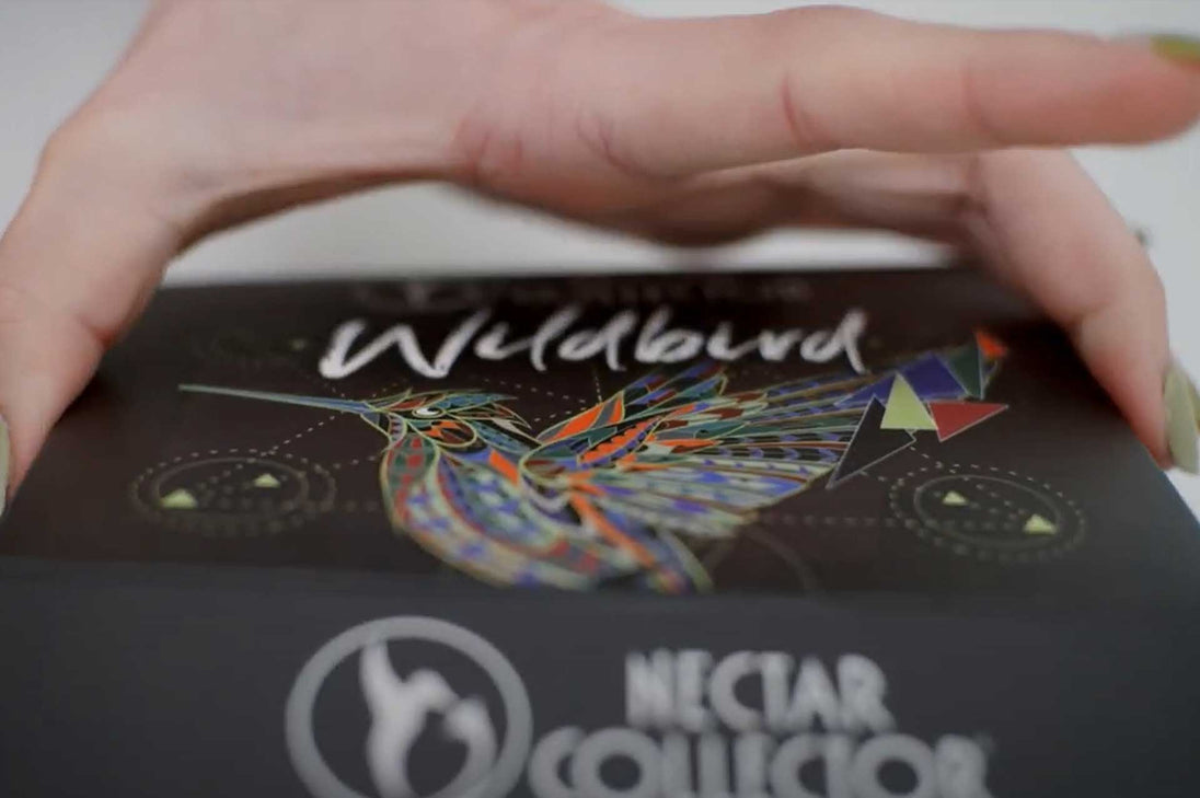 Nectar Collector Wildbird Kit - Glasss Station