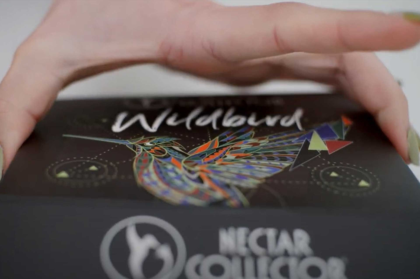 Nectar Collector Wildbird Kit - Glasss Station