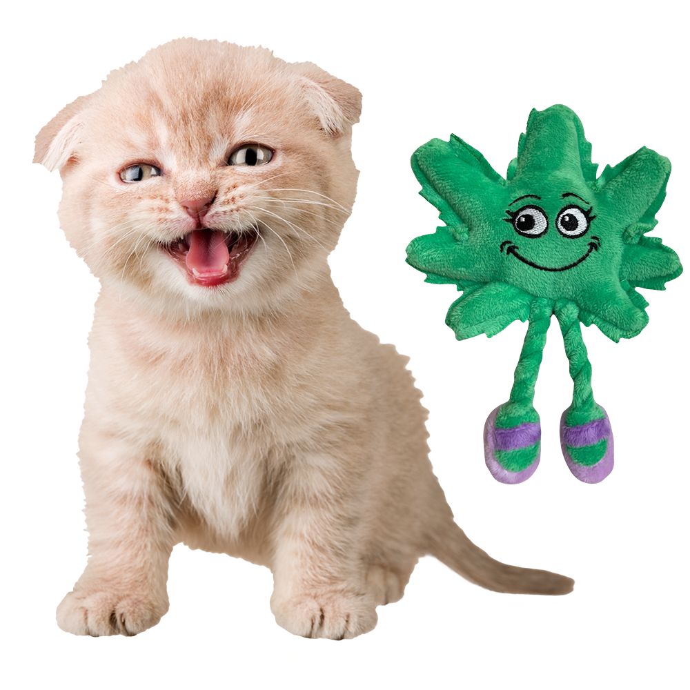 PAW:20 Lil ' MJ Catnip Cat Toy - Glasss Station