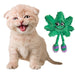 PAW:20 Lil ' MJ Catnip Cat Toy - Glasss Station