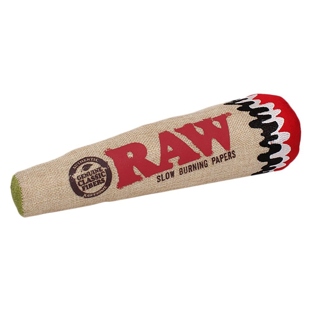 RAW Squeaky Cone Dog Toy - Glasss Station
