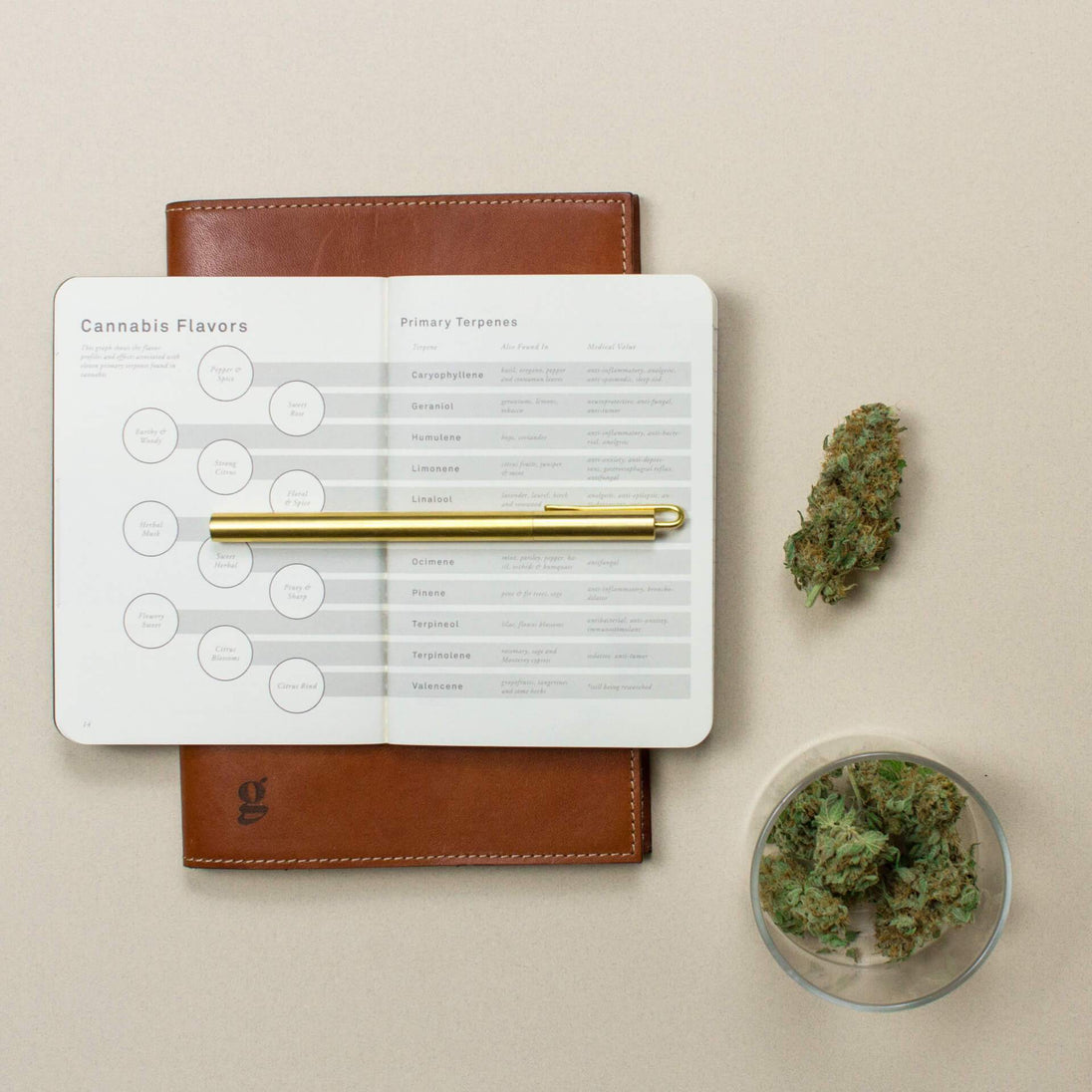 The Cannabis Taster Journal - Glasss Station