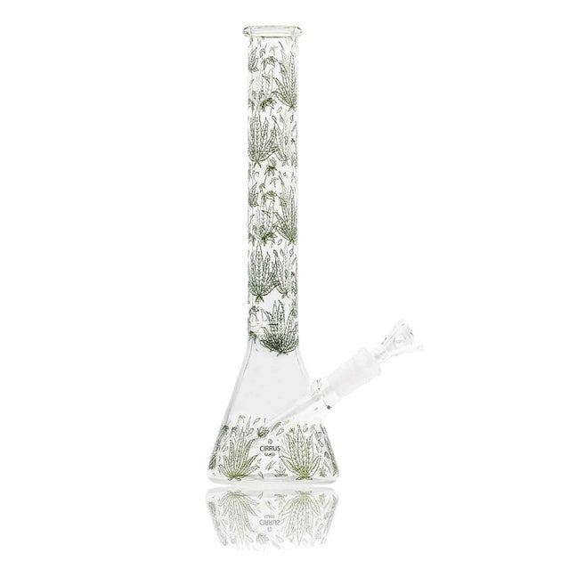 Cirrus Glass Green Sativa Beaker Bong - Glasss Station