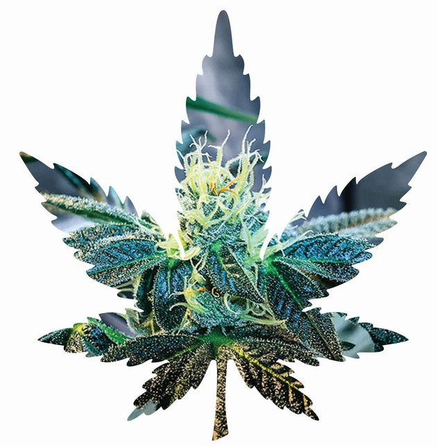 Indica Leaf Shape Puzzle "Gary GNU II" - Glasss Station