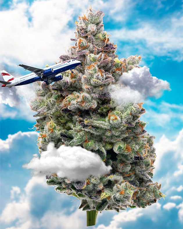 Indica Puzzles “Mile High Club" Maple Wood Jigsaw Puzzle - Glasss Station