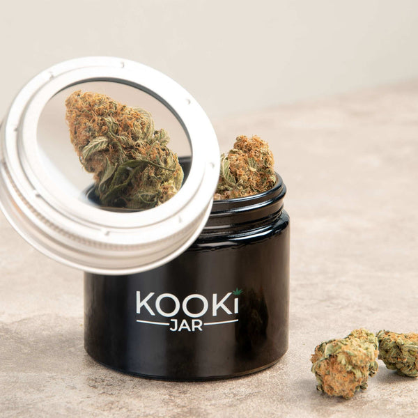 Kooki Small Glass Stash Jar with 5x Magnifying Lid - Glasss Station
