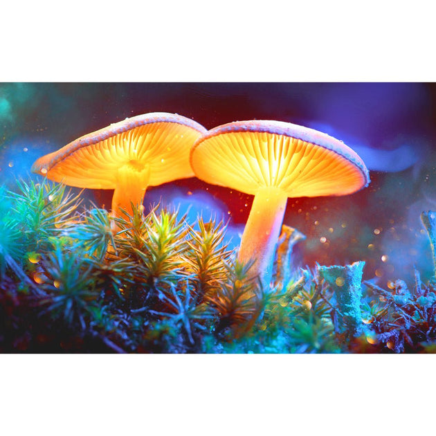 Pulsar Mystical Mushrooms Tapestry - Glasss Station