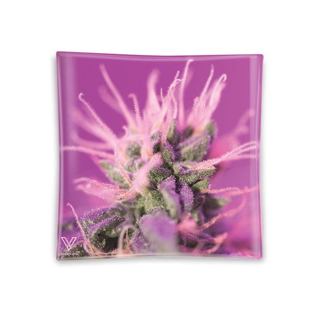 V Syndicate Pink Lemonade Blazin' Ashtray Glass - Glasss Station